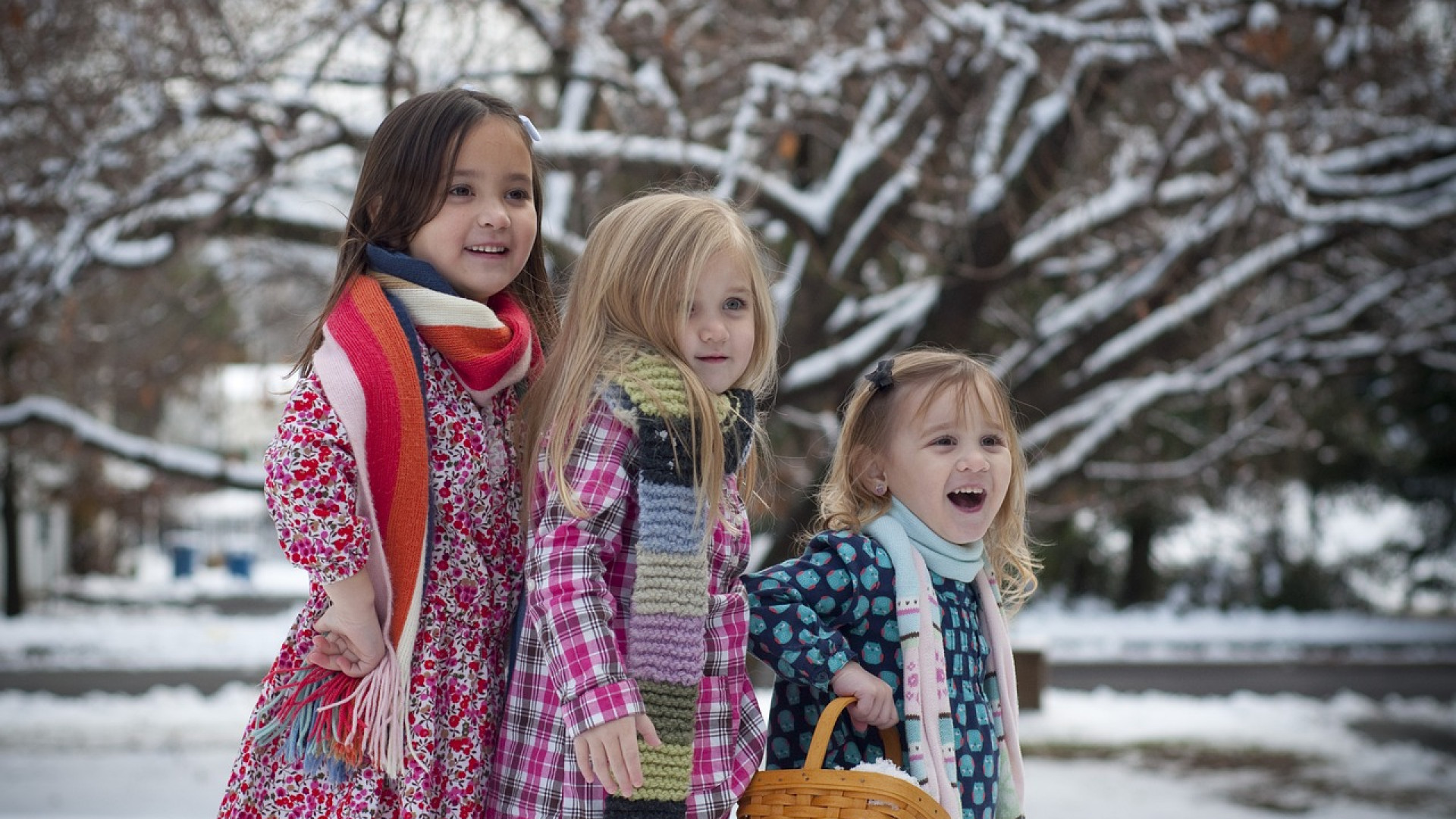 Comment occuper vos enfants pendant les vacances de Noël ?